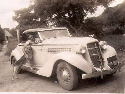 Auburn 654